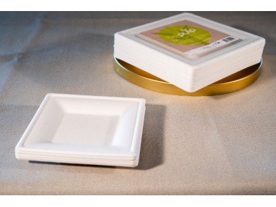 Paquet de 50 petites assiettes